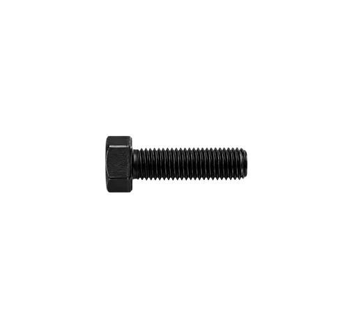 Screw